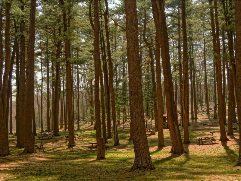 android screenshot 1