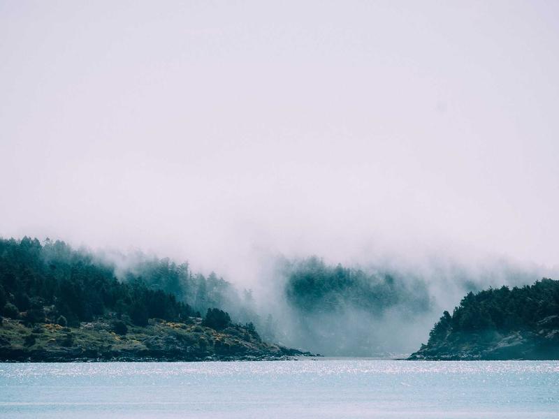 sudoku solver screenshot 5